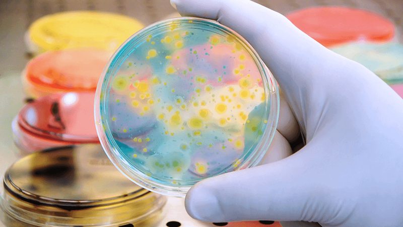 广州生物科技有限公司