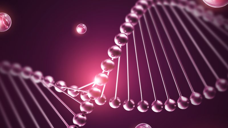 山东脂肪酶生产厂家：揭秘生物催化背后的关键角色**