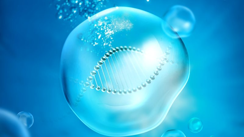 生物试剂使用步骤解析：关键环节与注意事项**
