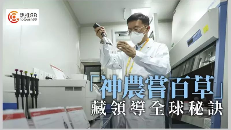 CDMO公司报价背后的考量因素