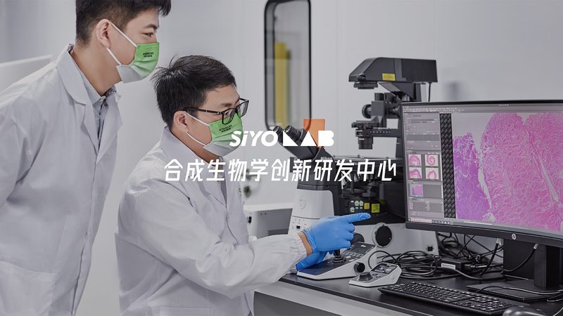 细胞培养中的隐形敌人：支原体污染的处理之道**