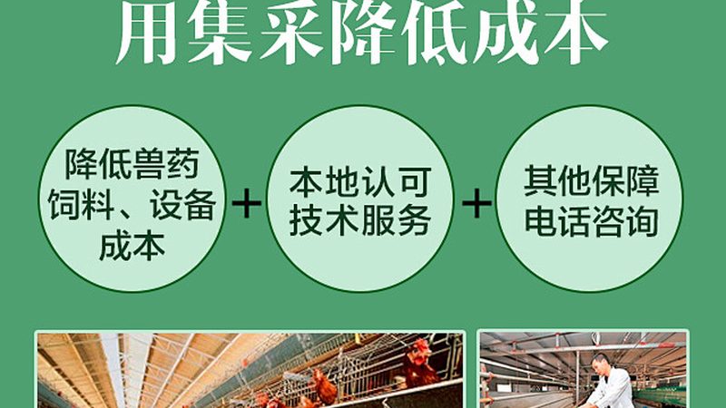 小标题：CDMO合作，先明确定义