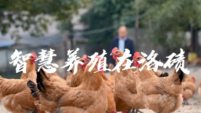 定制培养基配方，你了解其流程吗？**