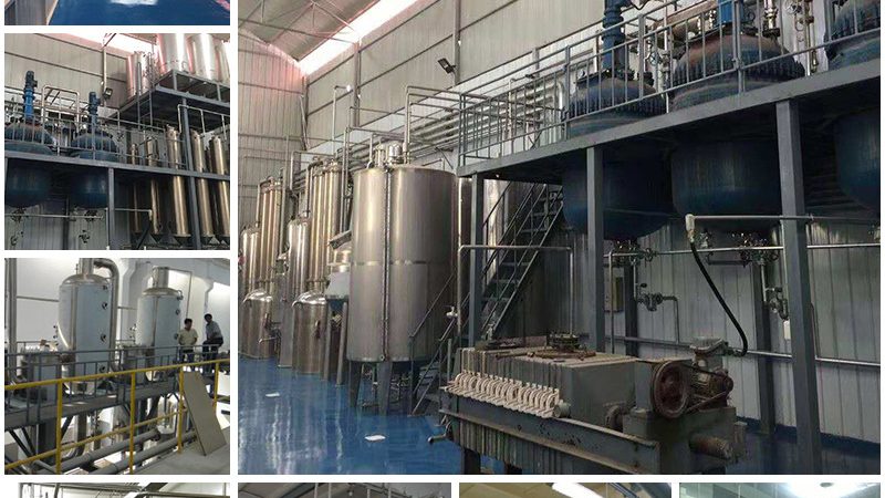 引物合成规格参数解析：精准合成，助力科研之路