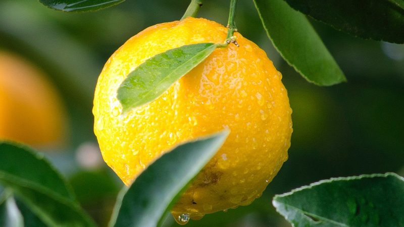 生物医药外包成本核算：如何科学评估与控制**