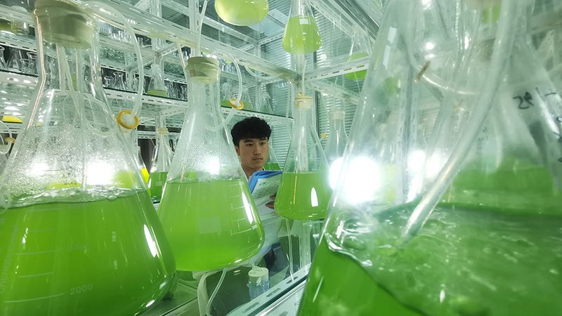 生物实验室净化装修：材质选择背后的科学考量**